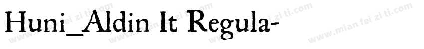 Huni_Aldin It Regula字体转换